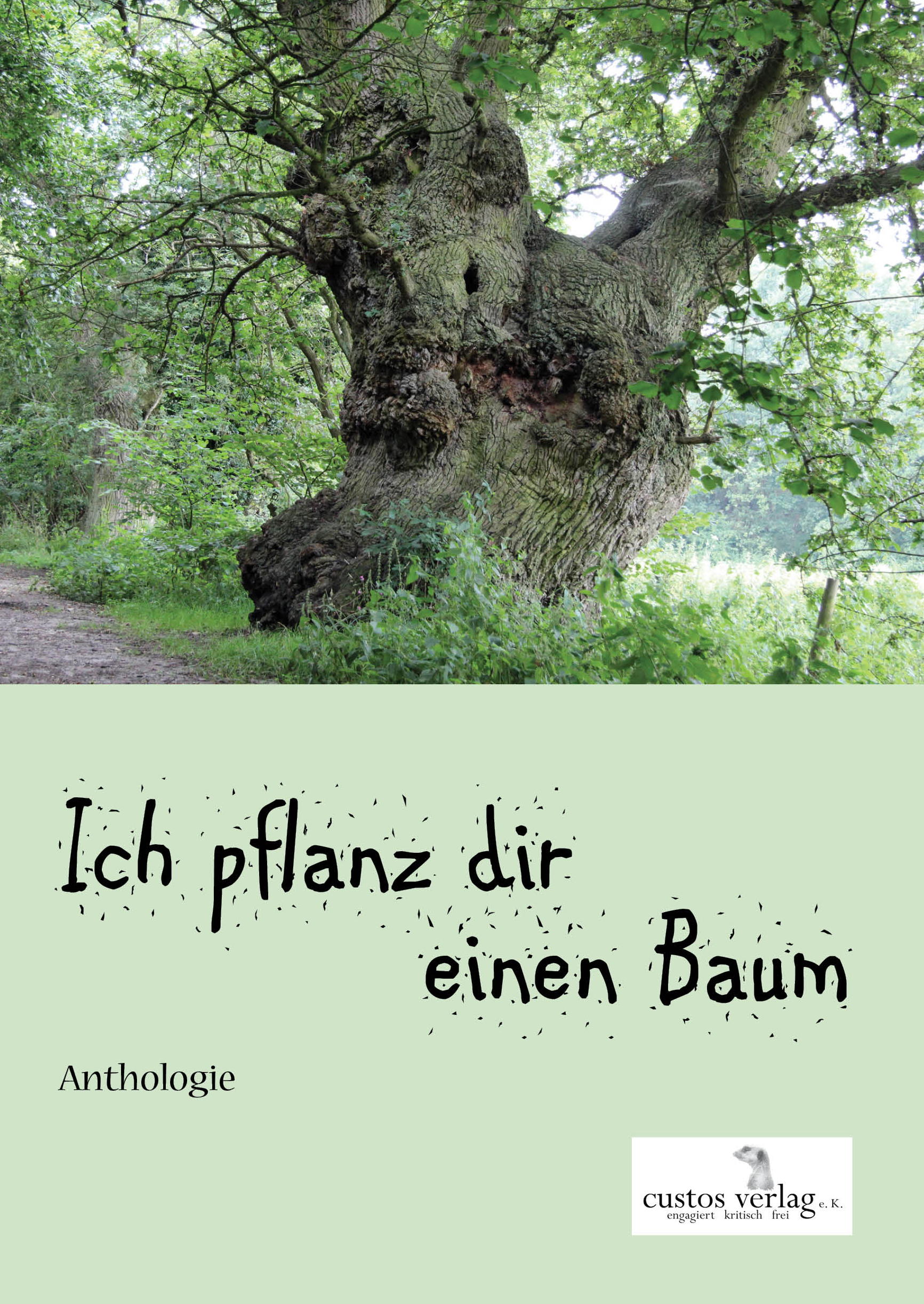 Cover Baum